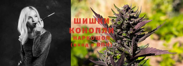 PSILOCYBIN Армянск
