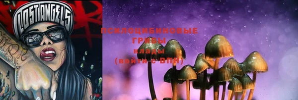 PSILOCYBIN Армянск