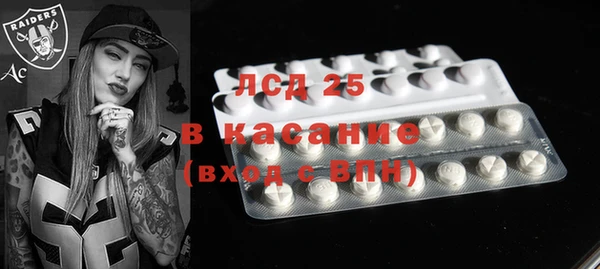 стафф Арсеньев