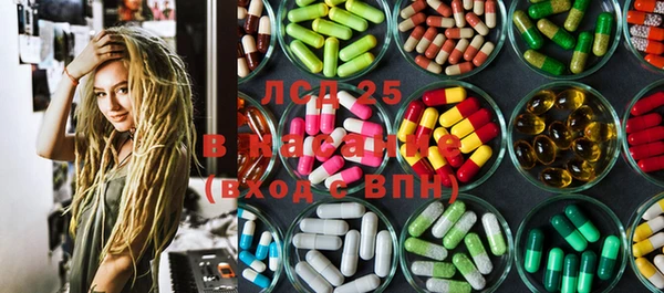 PSILOCYBIN Армянск
