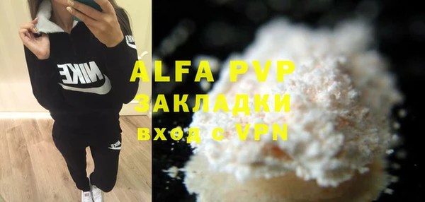 стафф Арсеньев