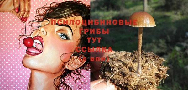 соль курить ск Аркадак