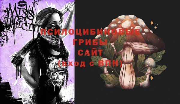 стафф Арсеньев
