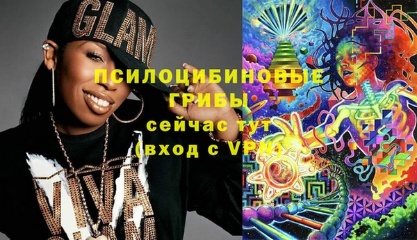 PSILOCYBIN Армянск