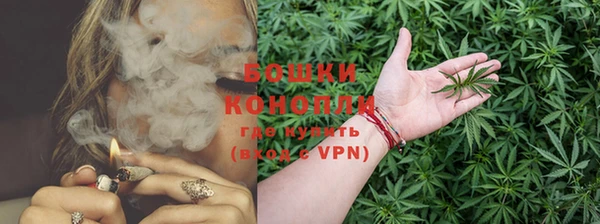 PSILOCYBIN Армянск